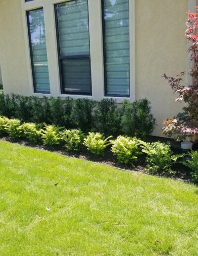 landscape design houston tx