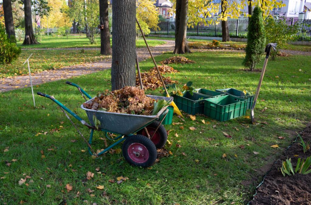 seasonal-cleanup-houston-tx