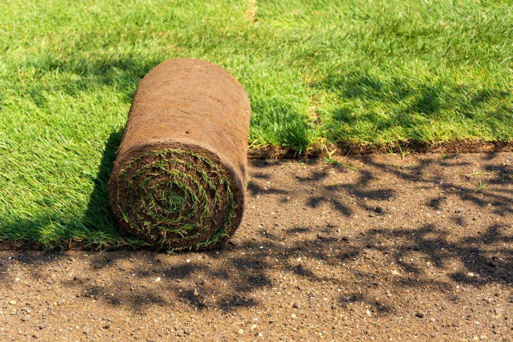 Mulching & Sod Installation